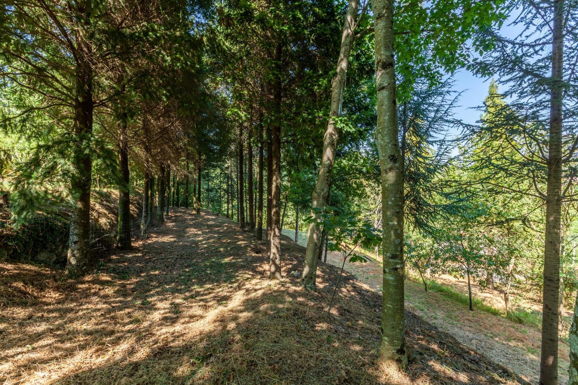 Villas Prendal Eco Living - Minho'S Guest Guimarães Eksteriør bilde