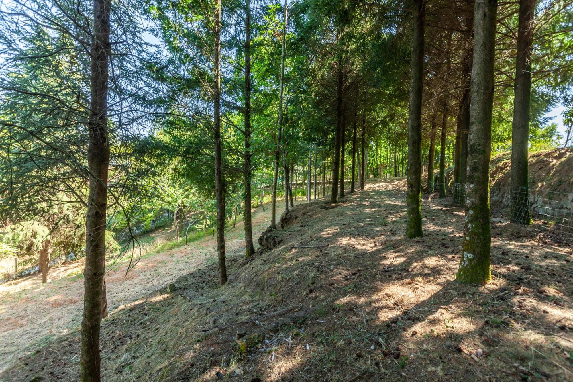 Villas Prendal Eco Living - Minho'S Guest Guimarães Eksteriør bilde