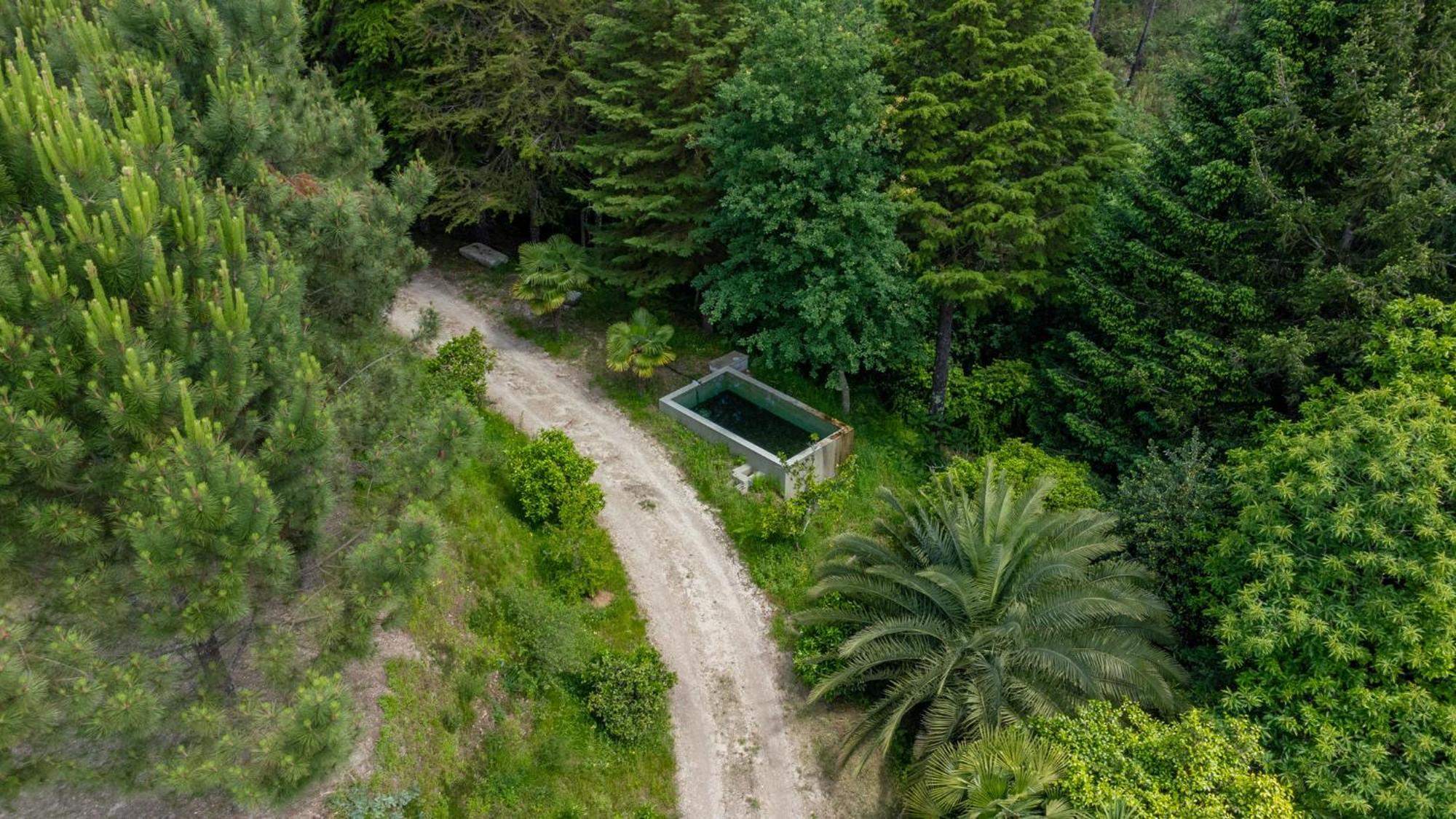 Villas Prendal Eco Living - Minho'S Guest Guimarães Eksteriør bilde