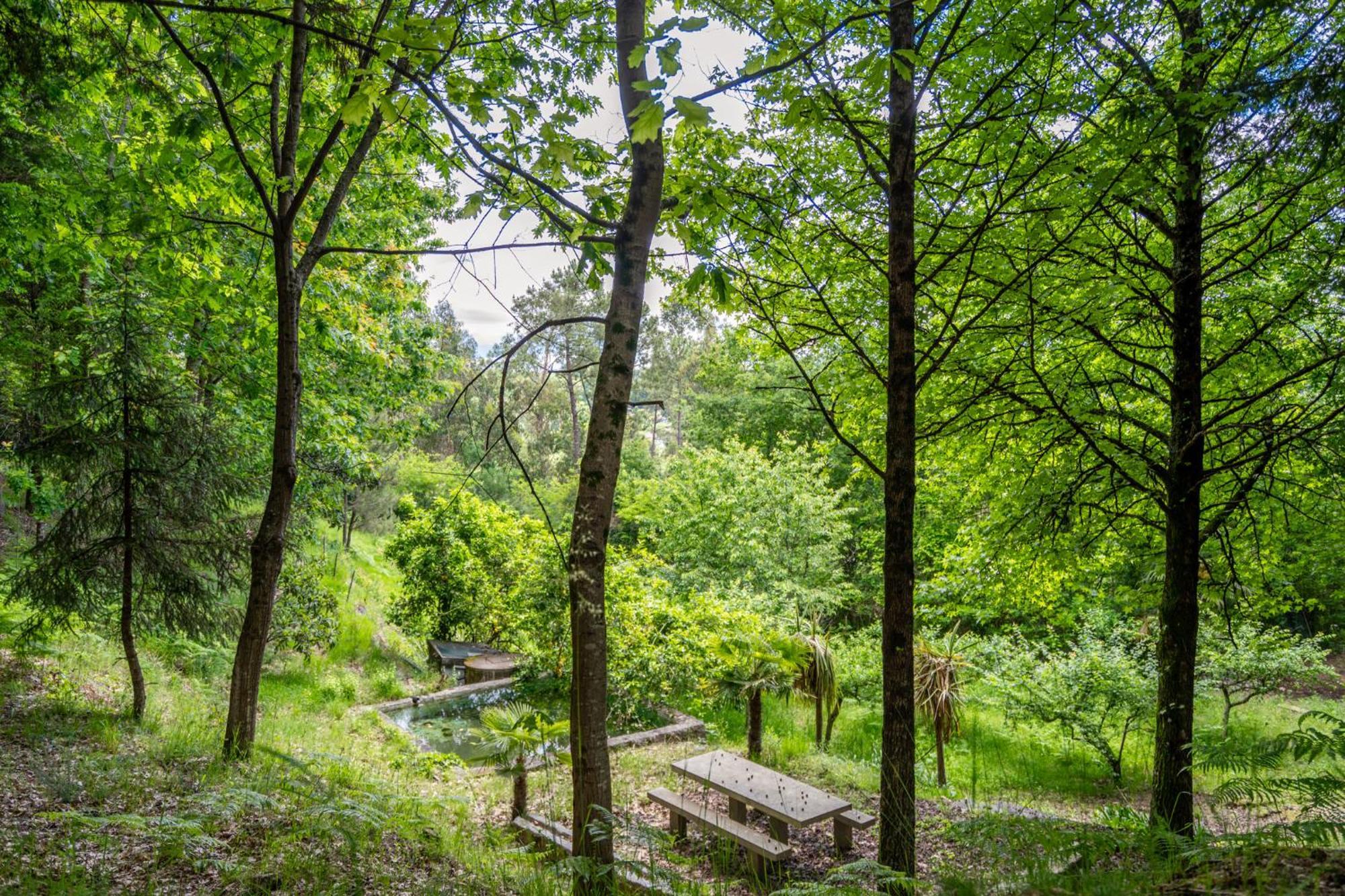 Villas Prendal Eco Living - Minho'S Guest Guimarães Eksteriør bilde